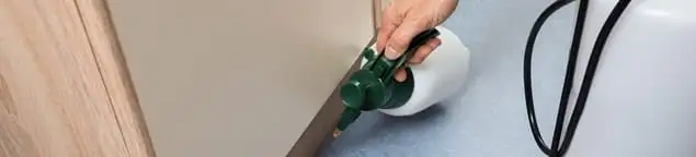 Bed bug exterminator treating baseboards and cracks with targeted spray in Houston, TX