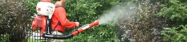 Mosquito control technician fogging shrubs and landscaping for mosquito treatment in Houston, TX