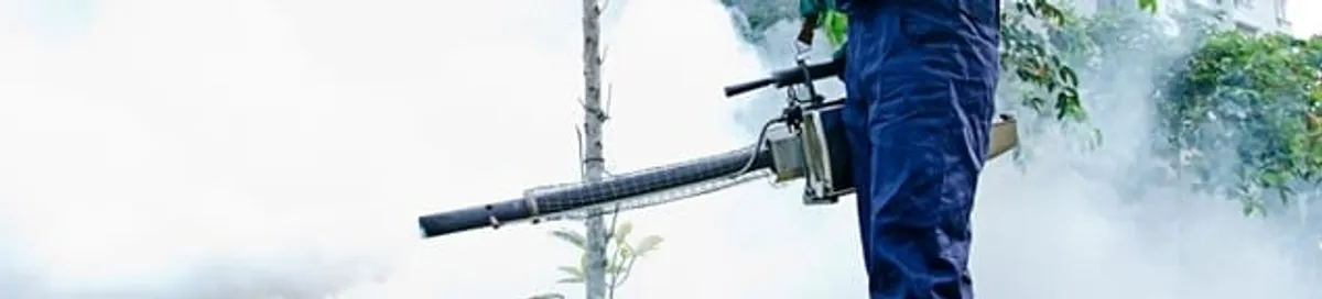 Pest control technician fogging an outdoor area for insect control in Houston, TX