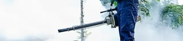 Pest control technician fogging an outdoor area for insect control in Houston, TX