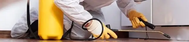 Roach exterminator treating cracks and crevices along kitchen baseboards in Houston, TX