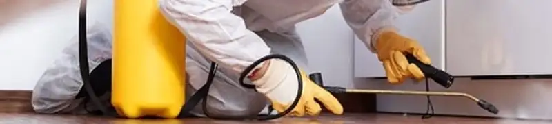 Roach exterminator treating cracks and crevices along kitchen baseboards in Houston, TX