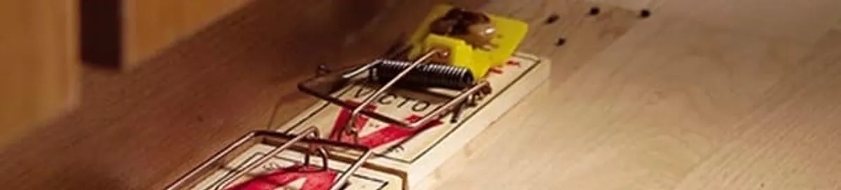 Rodent trap set indoors for rodent control and prevention in Houston, TX