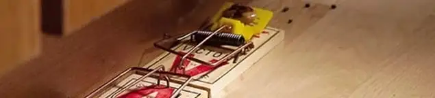 Rodent trap set indoors for rodent control and prevention in Houston, TX