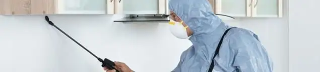 Termite treatment technician applying indoor pest control spray in Houston, TX